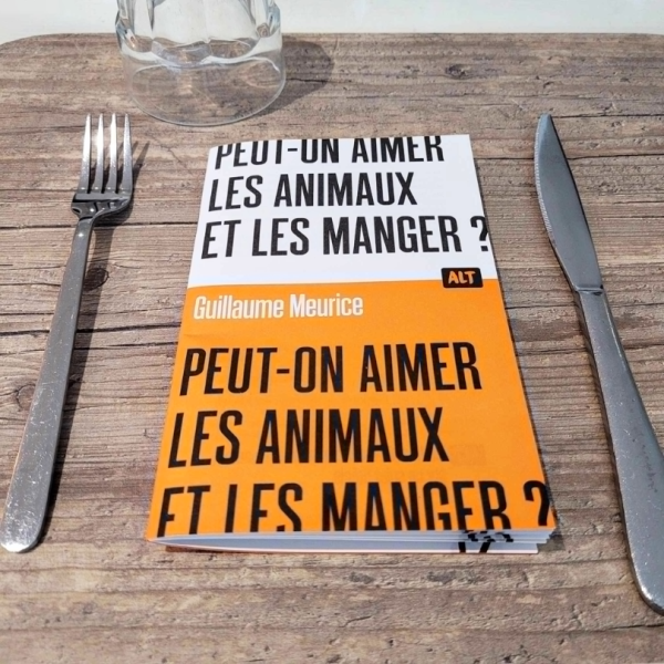 Meurice_essai