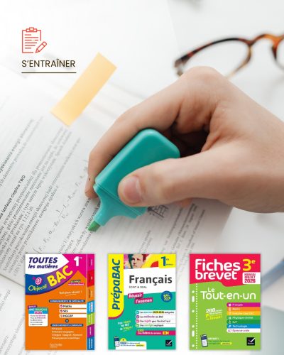 fiches révision brevet bac
