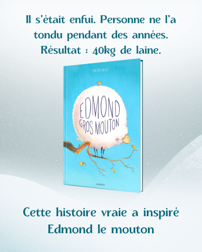Edmond le mouton